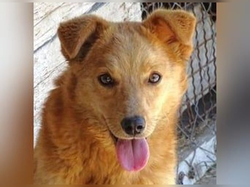 MEGGY ist zuckersüß