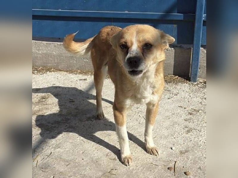 NINJIN braucht Retter aus großer Gefahr