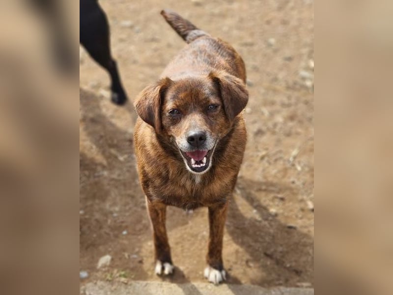 HOLLY ist zuckersüß und lieb