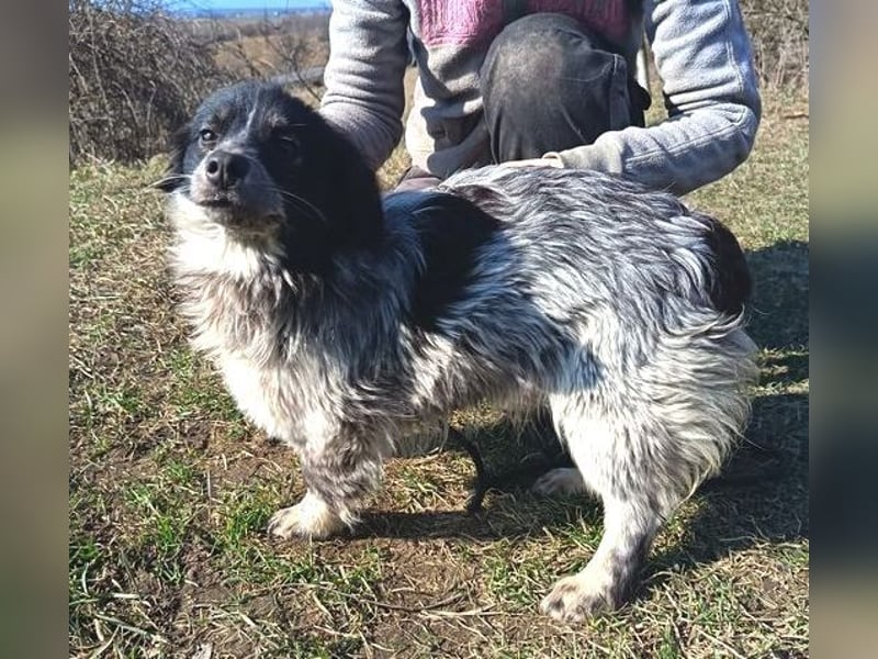 FLIPPERKA braucht ein liebevolles Zuhause