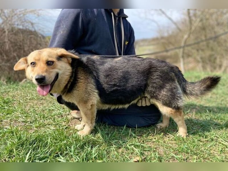 NESSY hofft so sehr auf einen Neuanfang