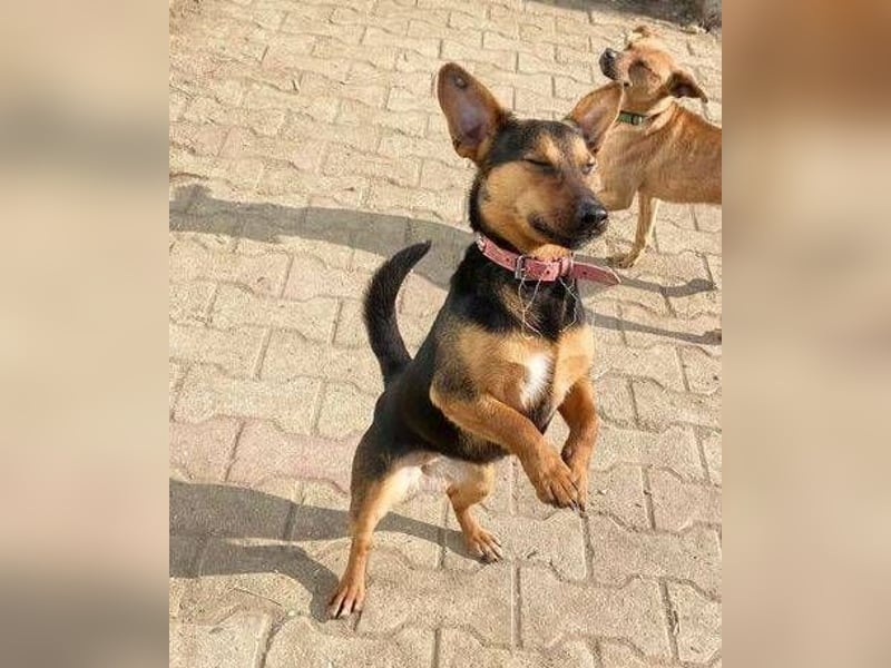 EMILY hatte ein entbehrungsreiches Leben