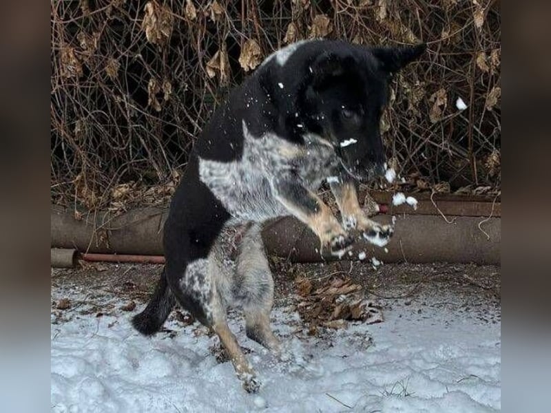 MIA ist eine Frohnatur