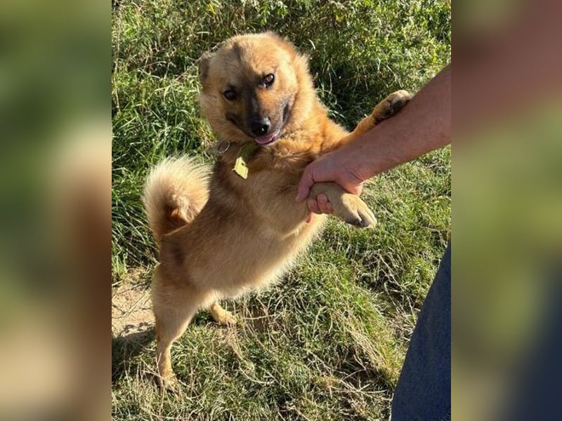 BERTIE kleiner Mann in großer Not