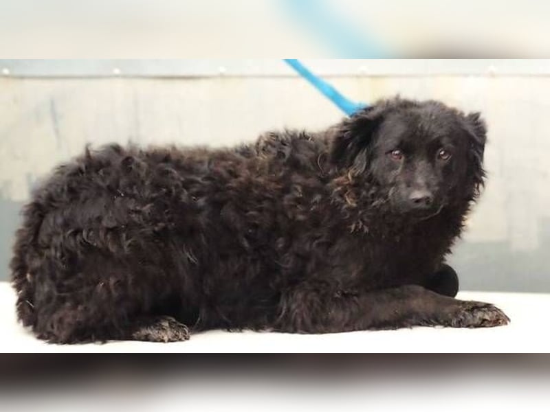 ZARA 2 zittert um ihr Leben