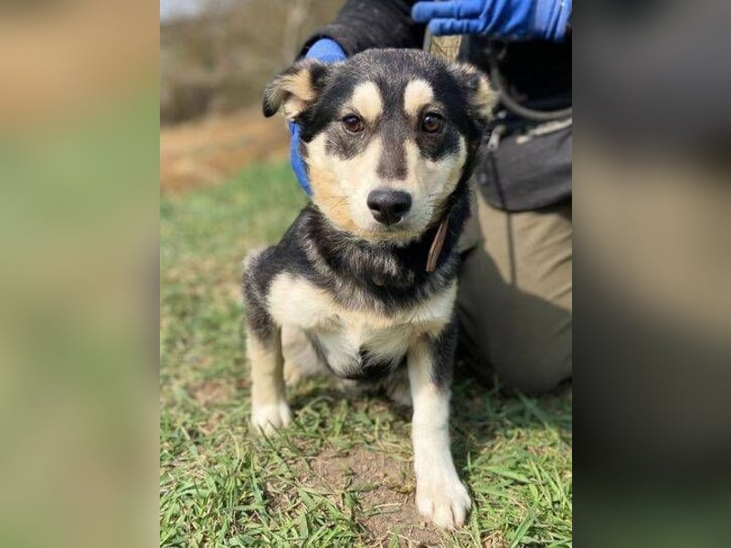 KEVIN wäre gerne dein Freund