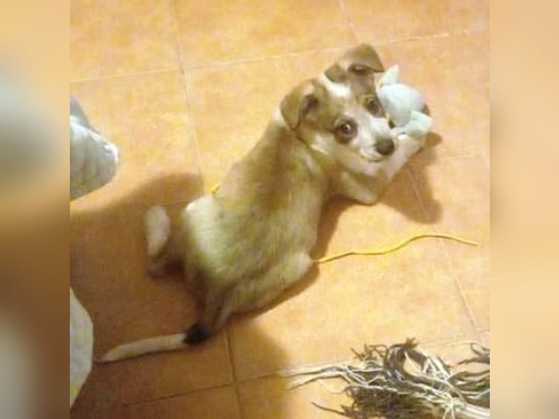 HUGO wurde allein zurück gelassen