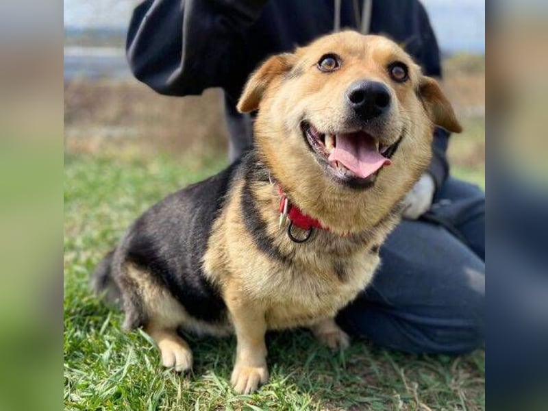 NESSY hofft so sehr auf einen Neuanfang