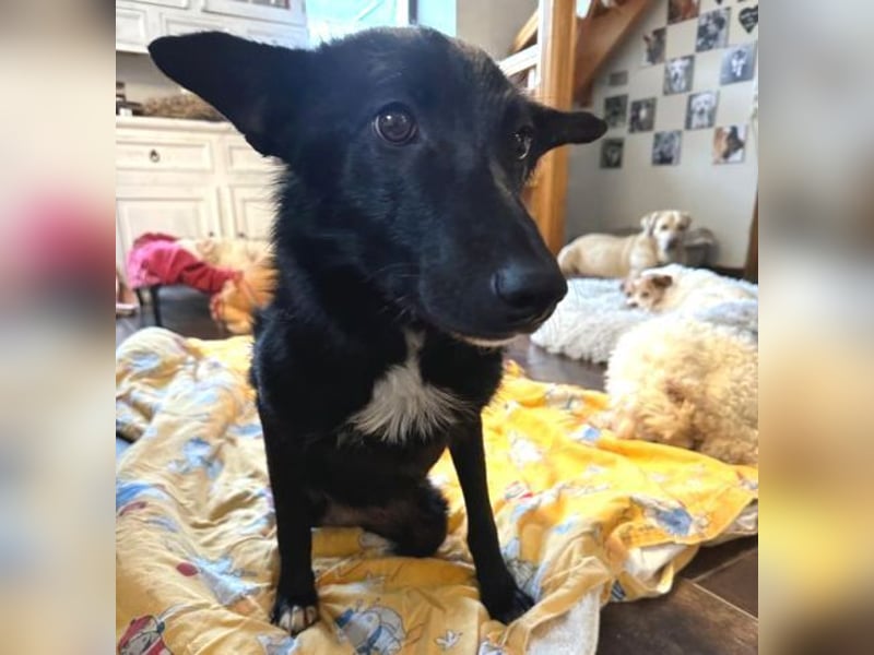 ENA wurde schwer verletzt liegen gelassen