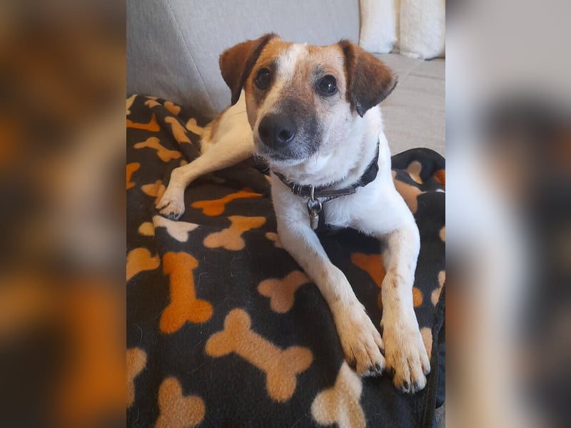 MIRKA liebt streicheln