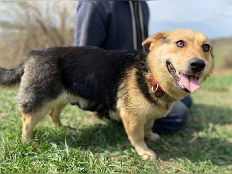 NESSY hofft so sehr auf einen Neuanfang