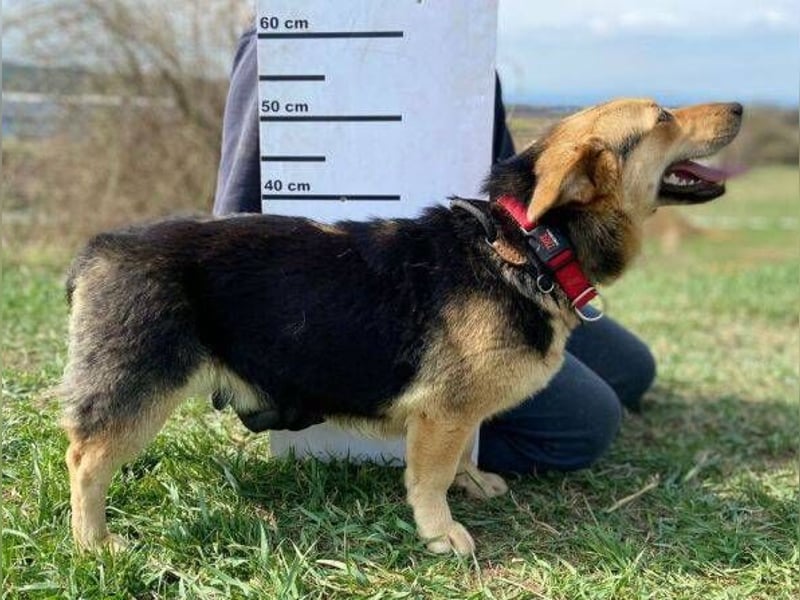 NESSY hofft so sehr auf einen Neuanfang