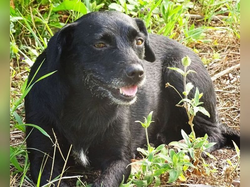 MONA ist ein Goldschatz