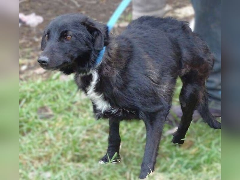 ENA wurde schwer verletzt liegen gelassen