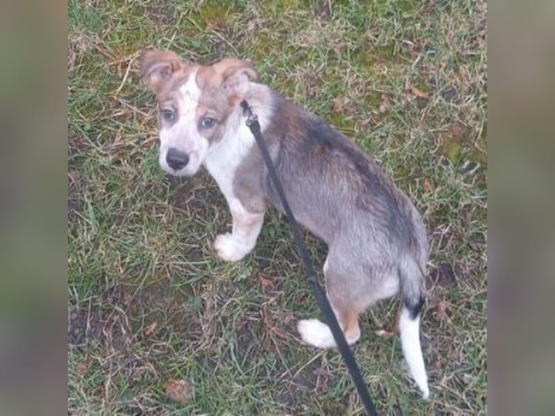 HUGO wurde allein zurück gelassen