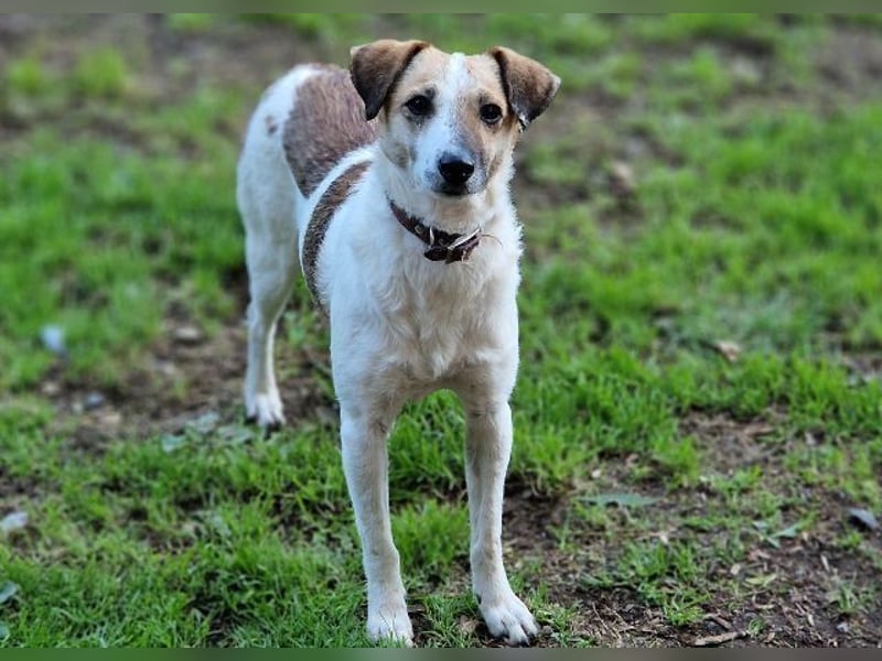 MIRKA liebt streicheln