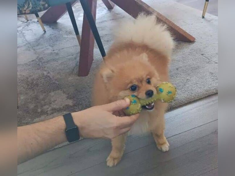 WINNIE Pooh - kleines Flauschbällchen