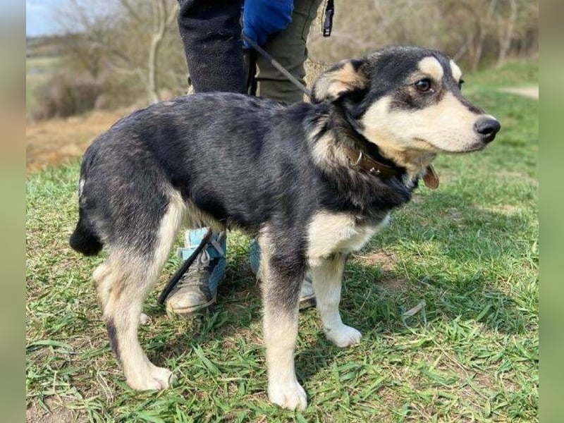 KEVIN wäre gerne dein Freund