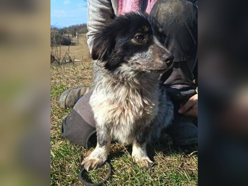 FLIPPERKA braucht ein liebevolles Zuhause