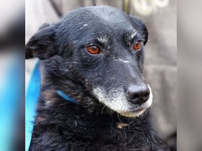 NELLA ist liebevoll und sanft