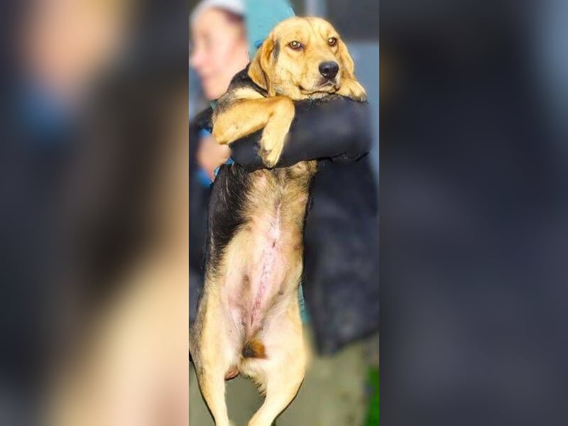 NICKY ist eine absolute Bereicherung