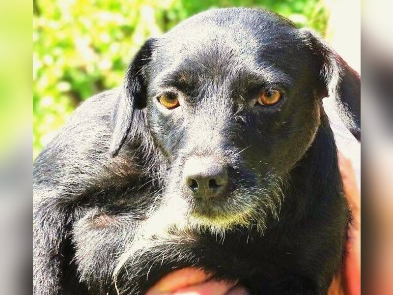 MONA ist ein Goldschatz