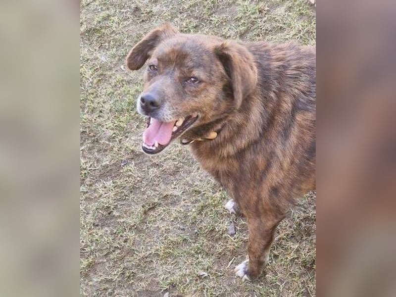 HOLLY ist zuckersüß und lieb