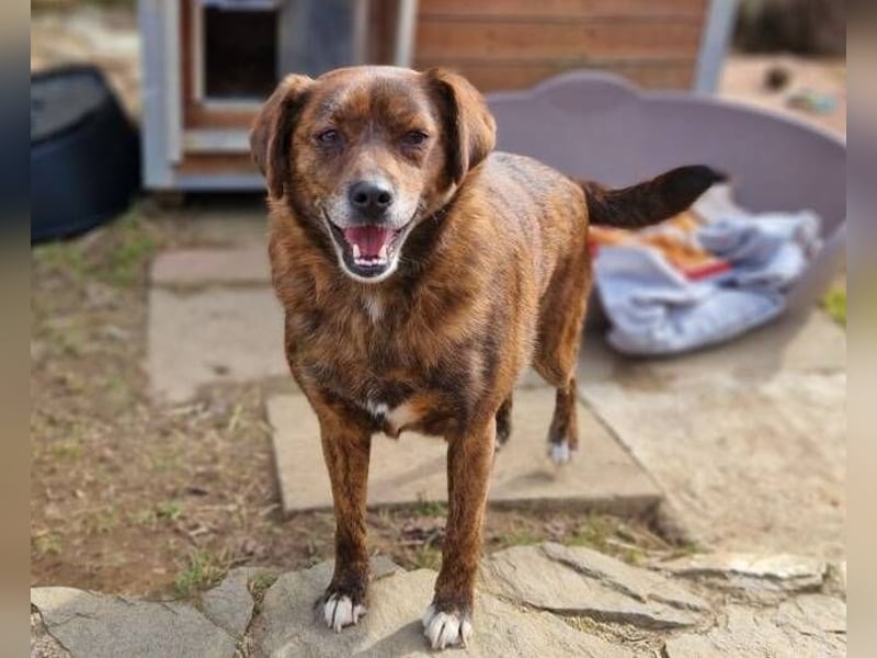HOLLY ist zuckersüß und lieb