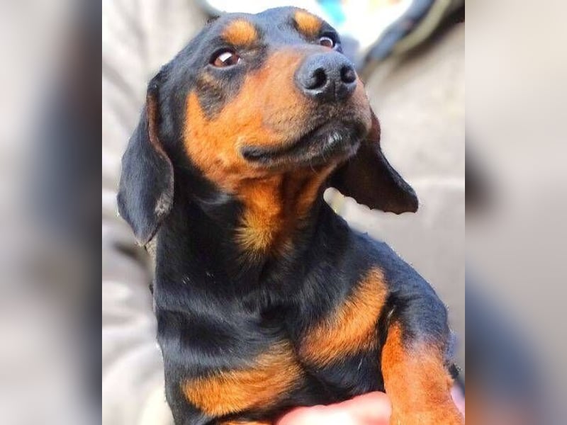 JACK braucht Lebensretter