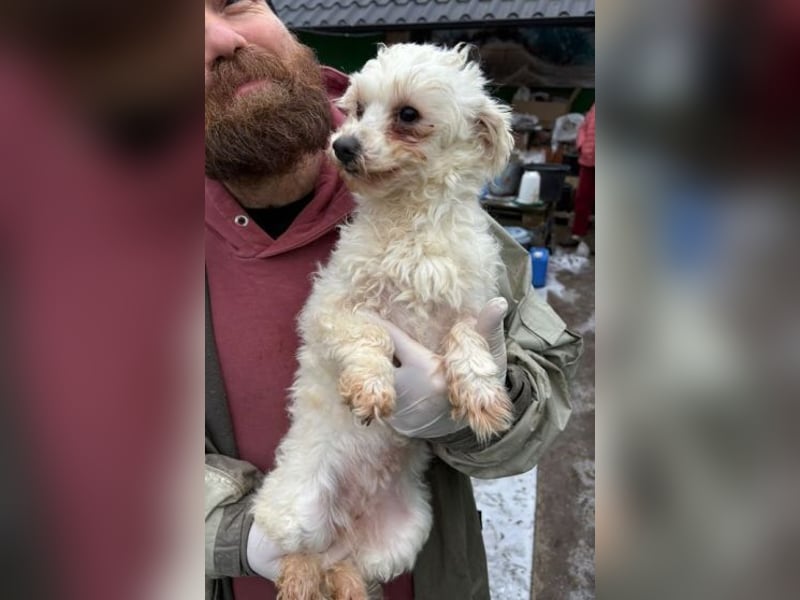 WHITE wurde herzlos abgeschoben