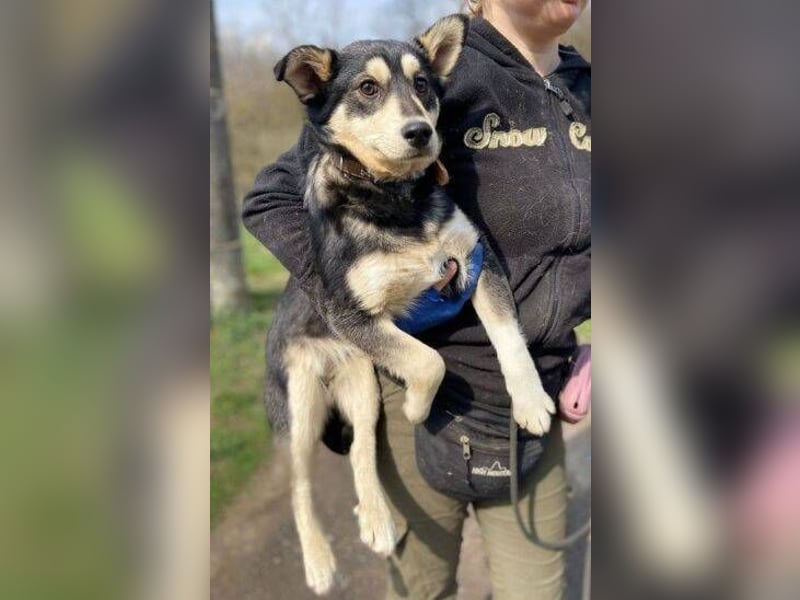 KEVIN wäre gerne dein Freund