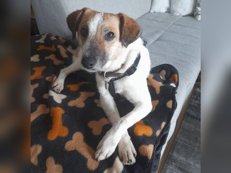 MIRKA liebt streicheln