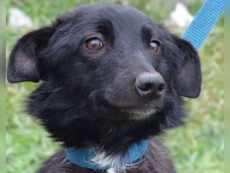 ENA wurde schwer verletzt liegen gelassen