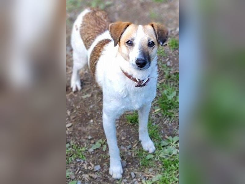 MIRKA liebt streicheln