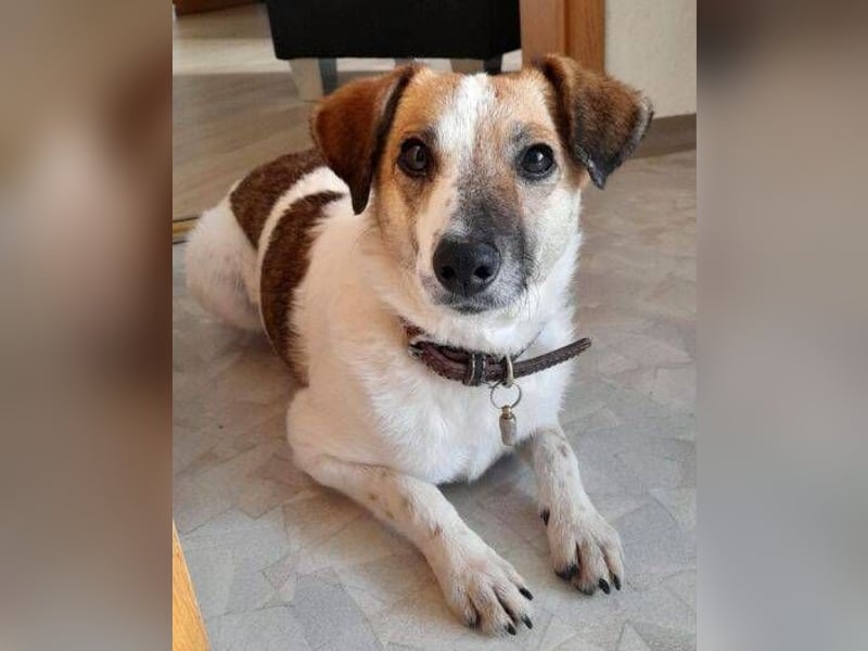 MIRKA liebt streicheln