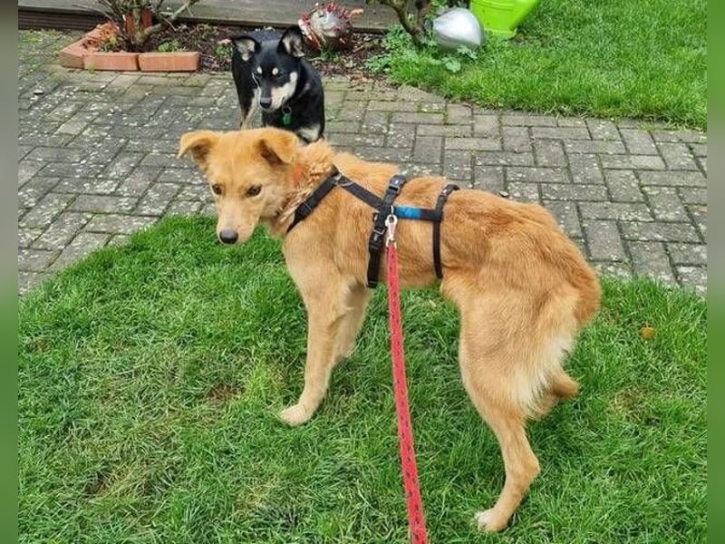 MEGGY ist zuckersüß