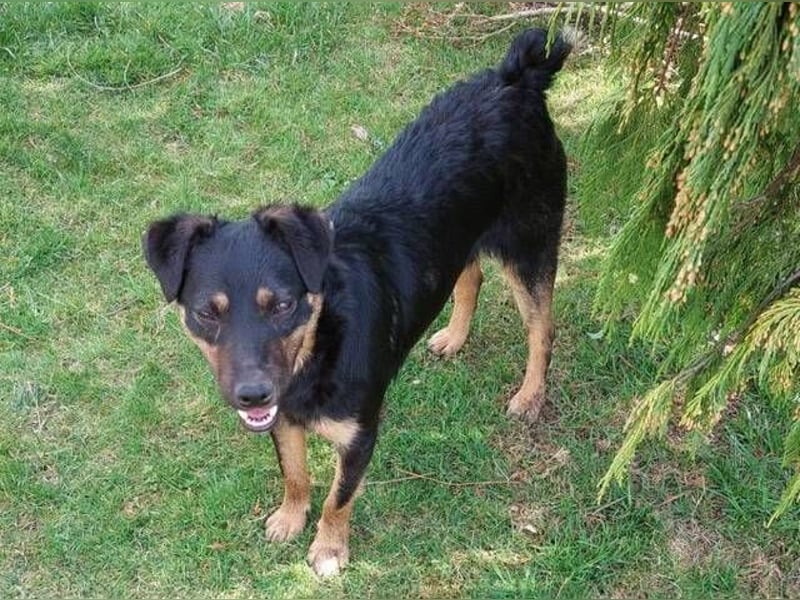 LINO  ist ein ganz besonders lieber Junge