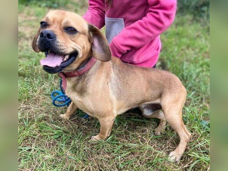 ROCCO irrte hungrig umher ROCCO irrte hungrig umher