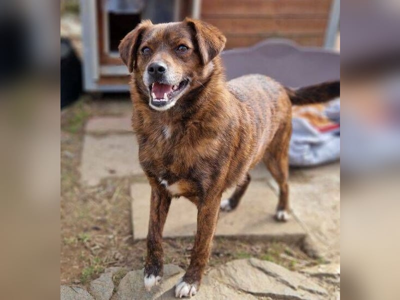 HOLLY ist zuckersüß und lieb