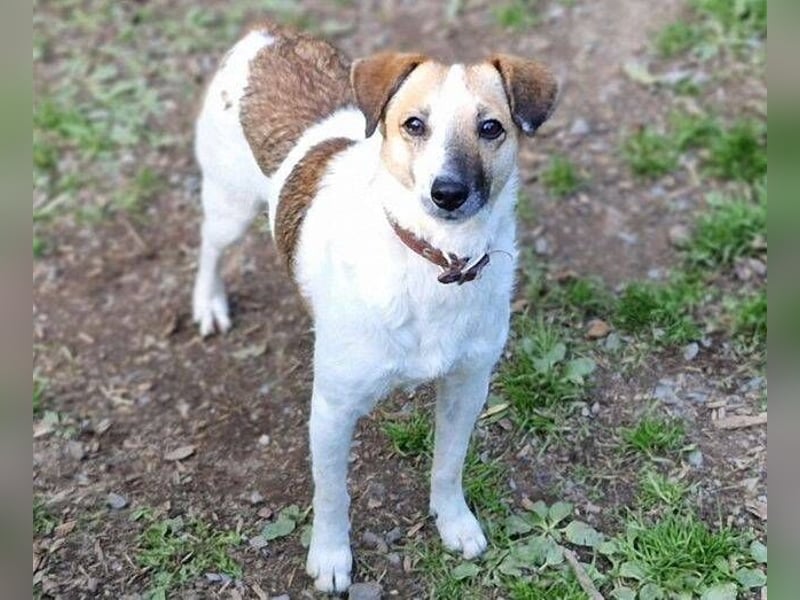 MIRKA liebt streicheln