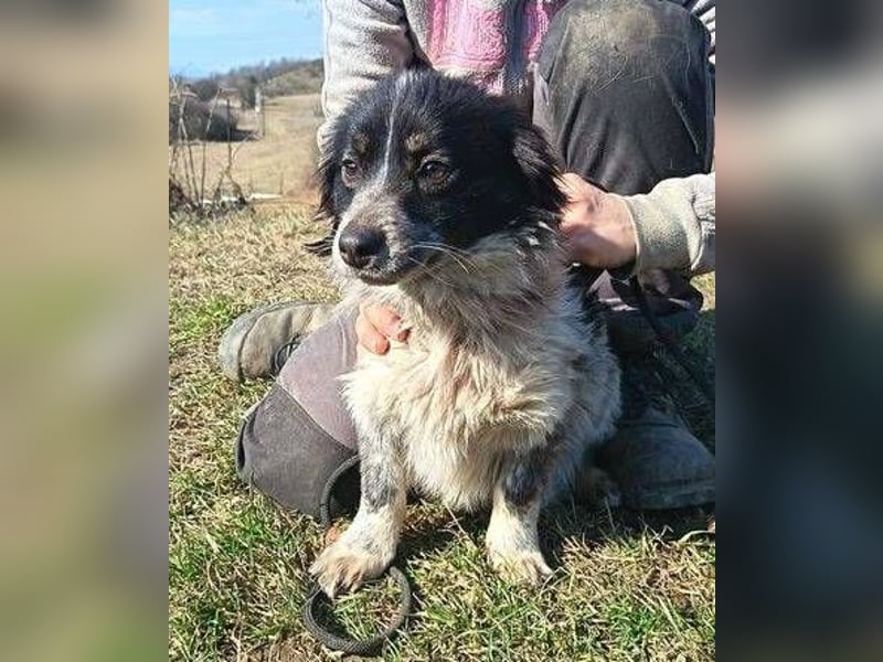 FLIPPERKA braucht ein liebevolles Zuhause