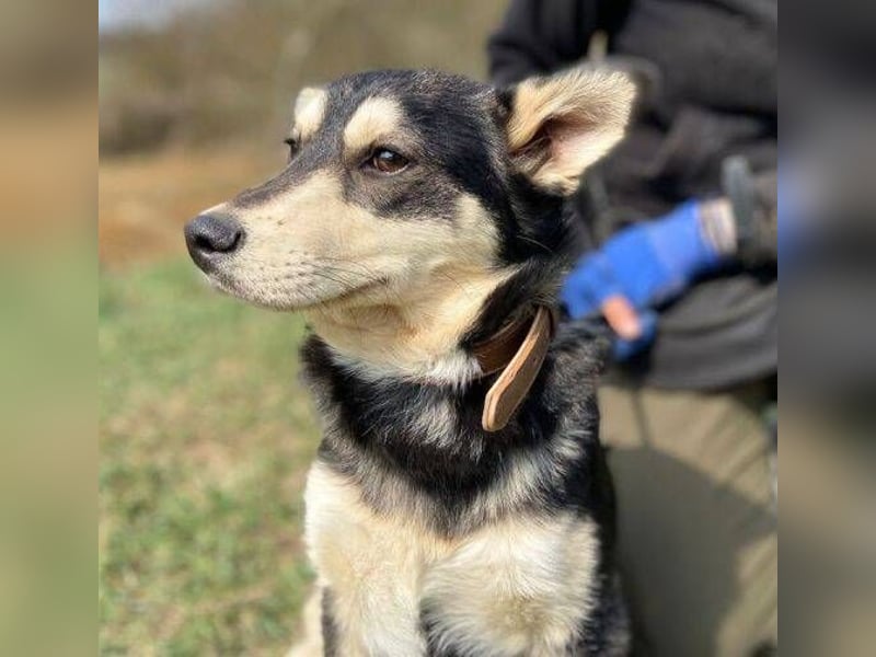 KEVIN wäre gerne dein Freund