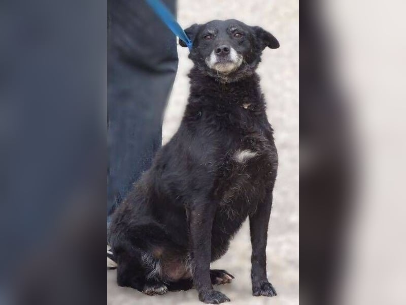 NELLA ist liebevoll und sanft