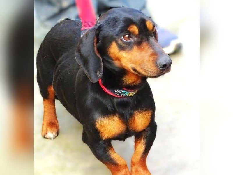 JACK braucht Lebensretter