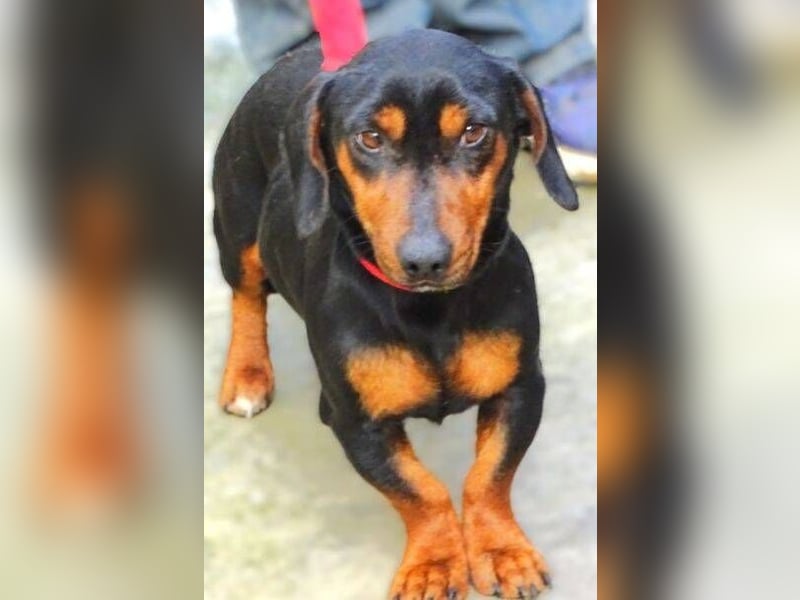 JACK braucht Lebensretter