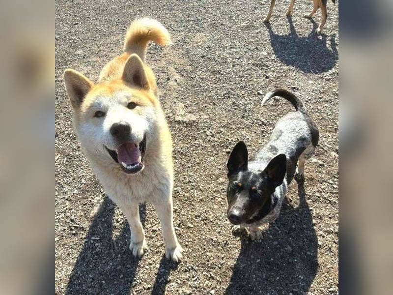 MIA ist eine Frohnatur