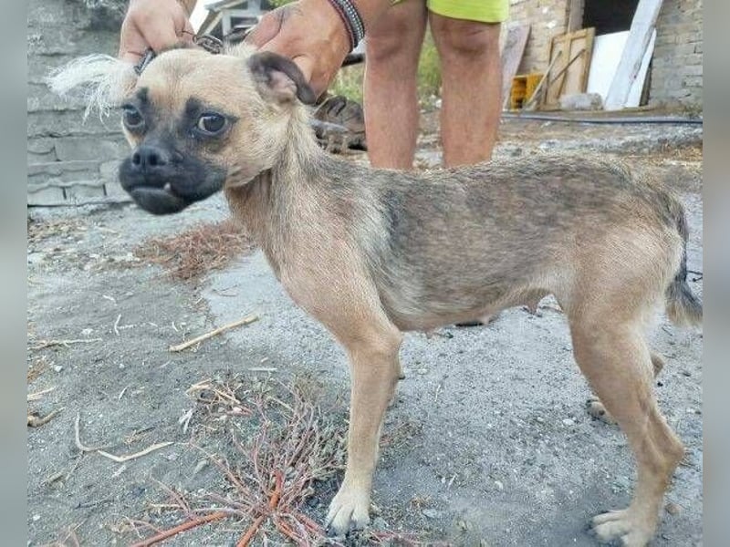 LUNA, das liebe Mädel schwebt in großer Gefahr