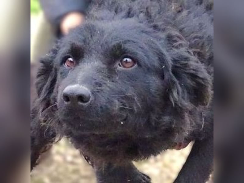 ZARA 2 zittert um ihr Leben