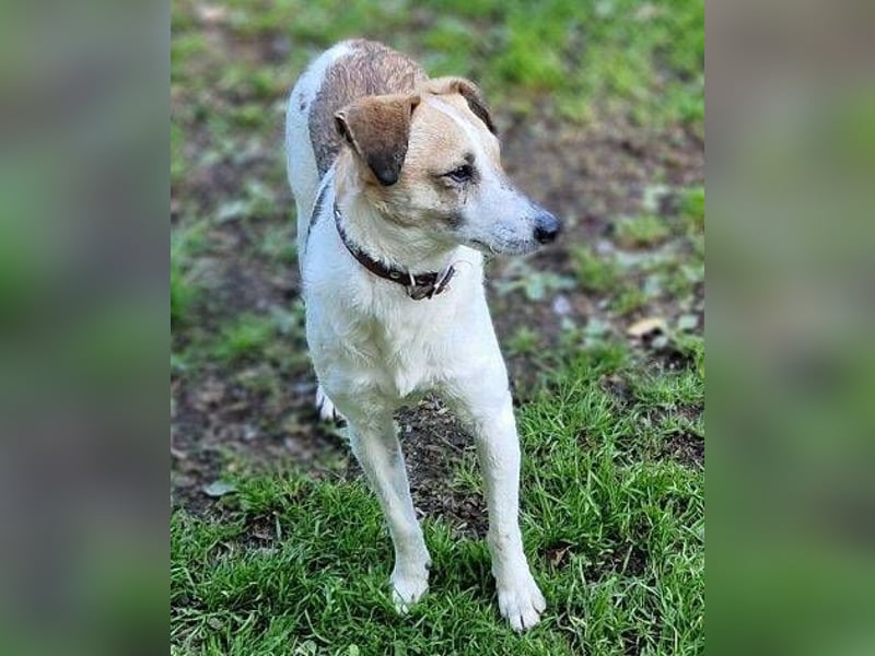 MIRKA liebt streicheln