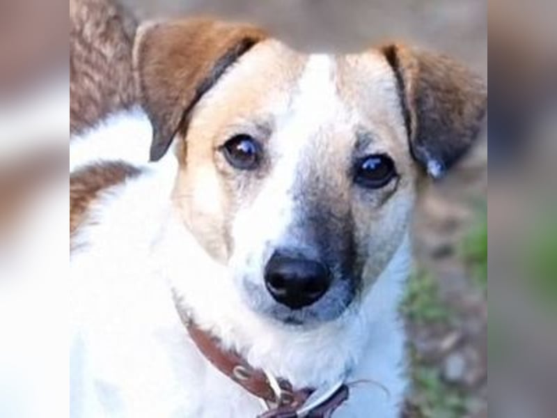 MIRKA liebt streicheln